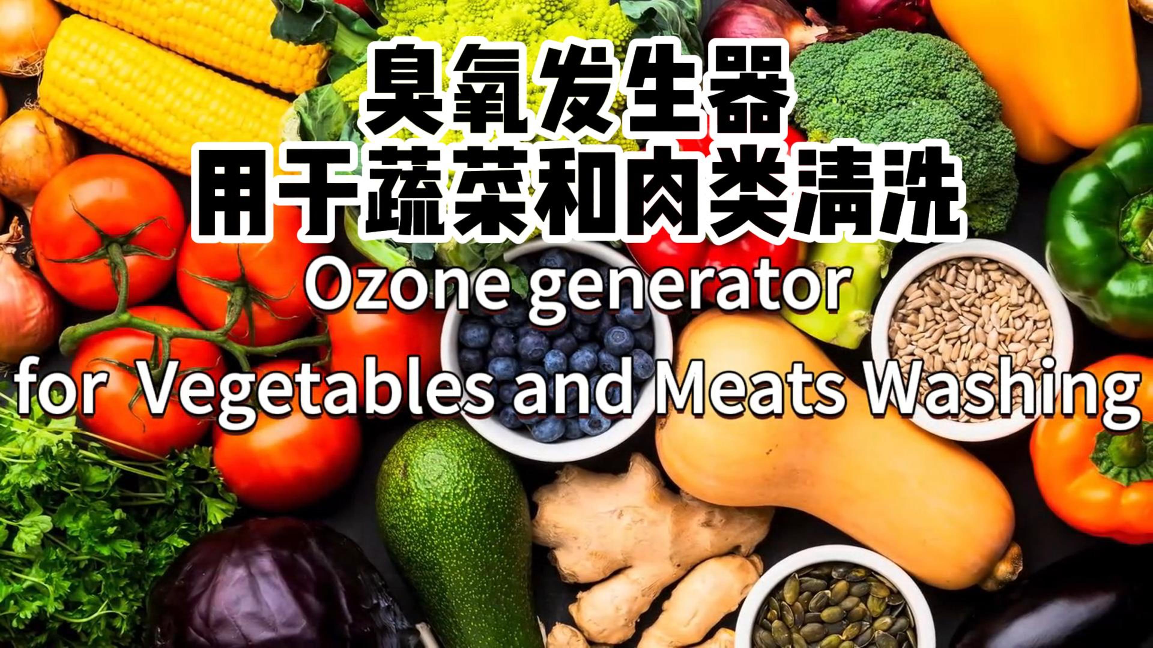 臭氧發(fā)生器在食品加工和儲存過程中用于蔬菜、水果和肉類的消毒